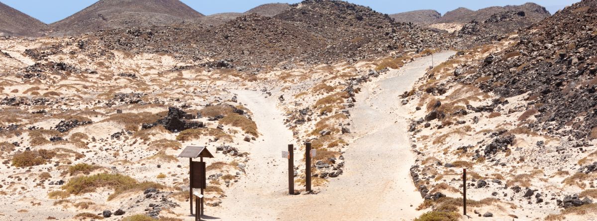 ¿Conoces la casa Winter y su misteriosa historia? (Prueba de tres líneas)