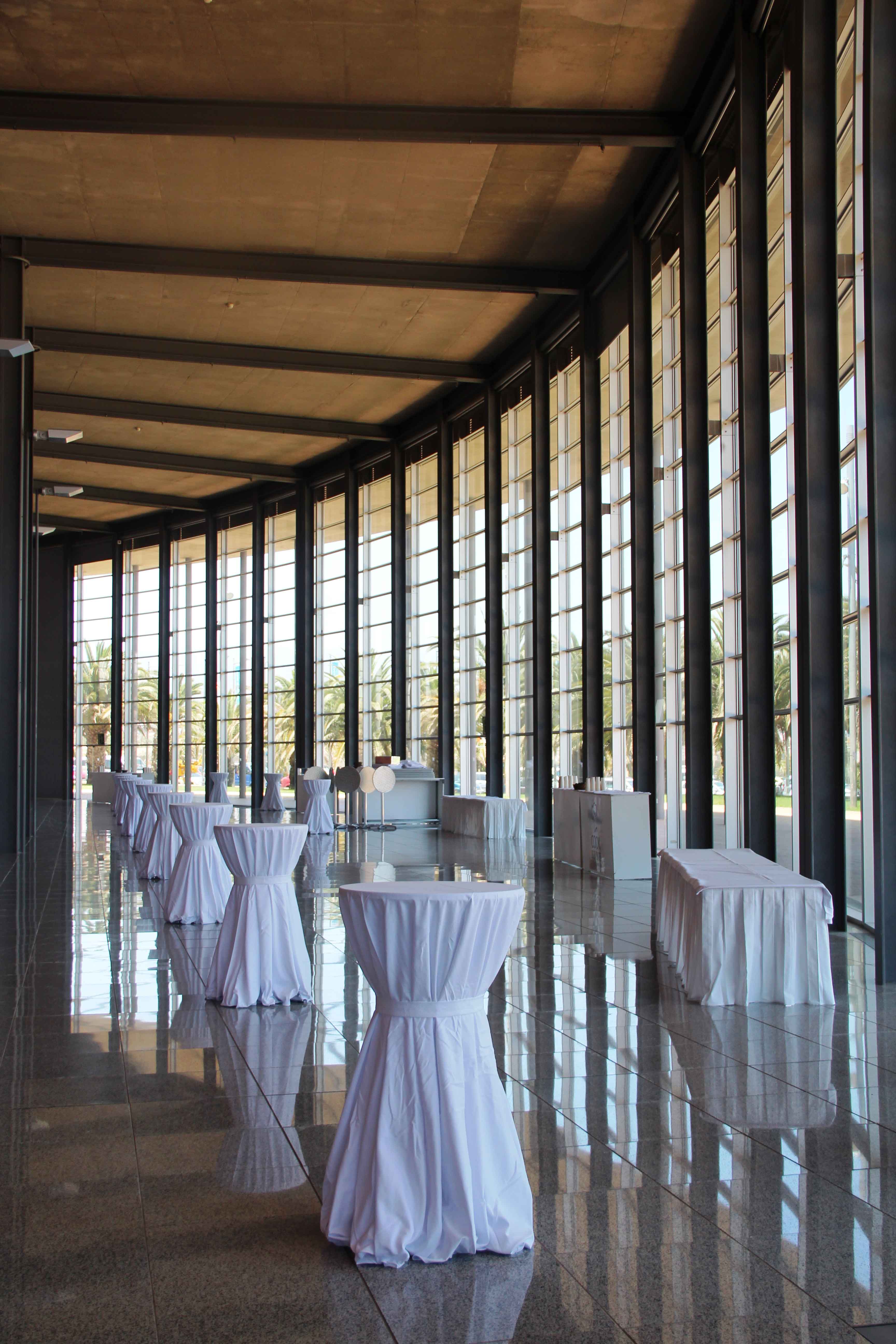 mice lopesan costa meloneras