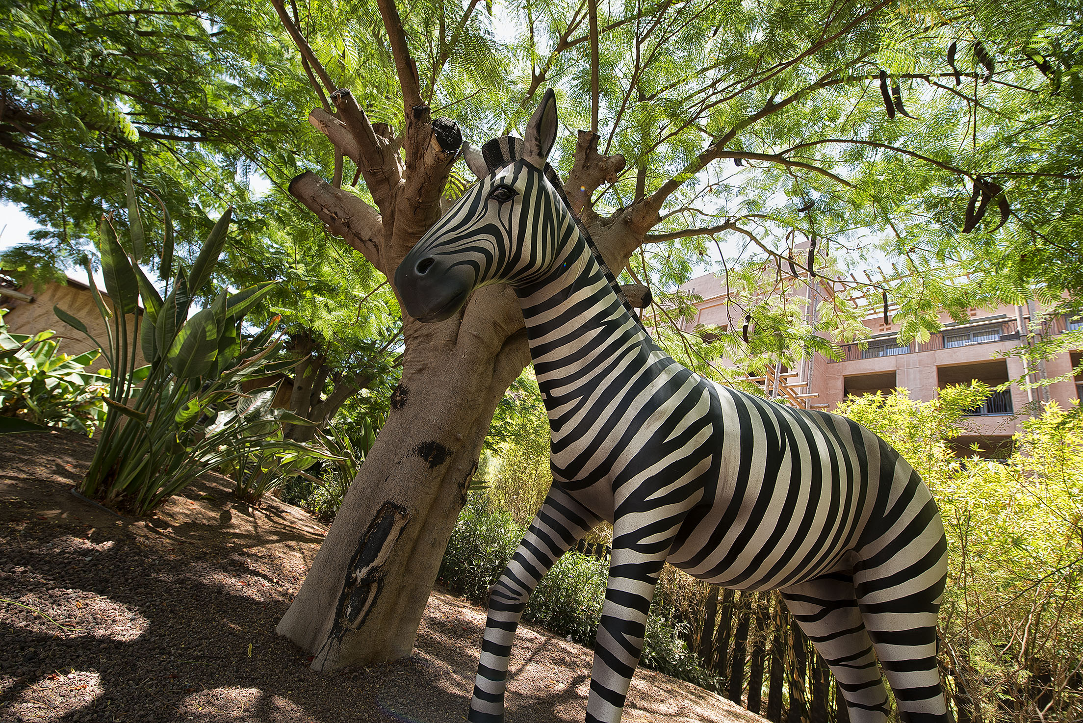 fotos animales hotel lopesan baobab