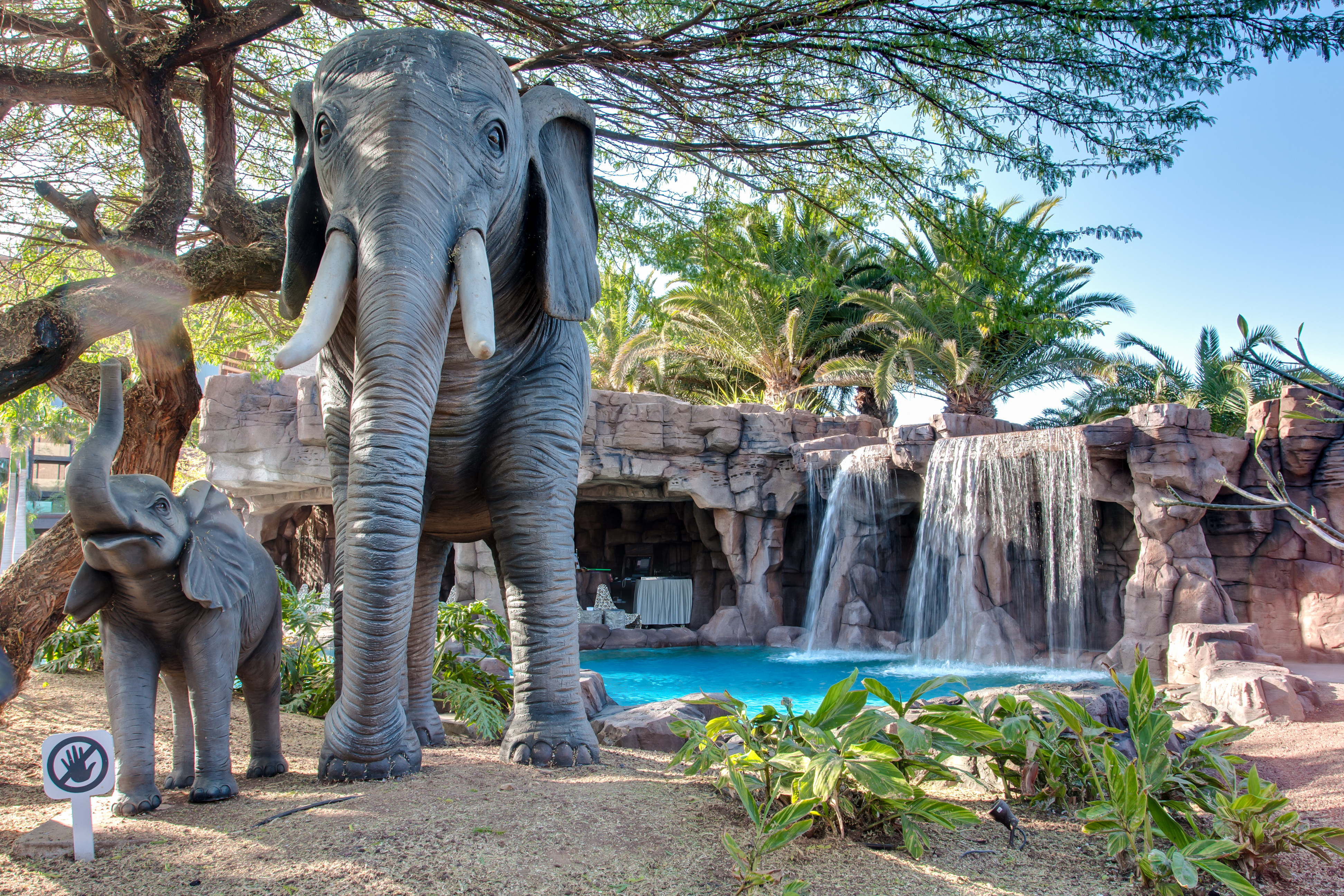 hotel baobab fotos animales