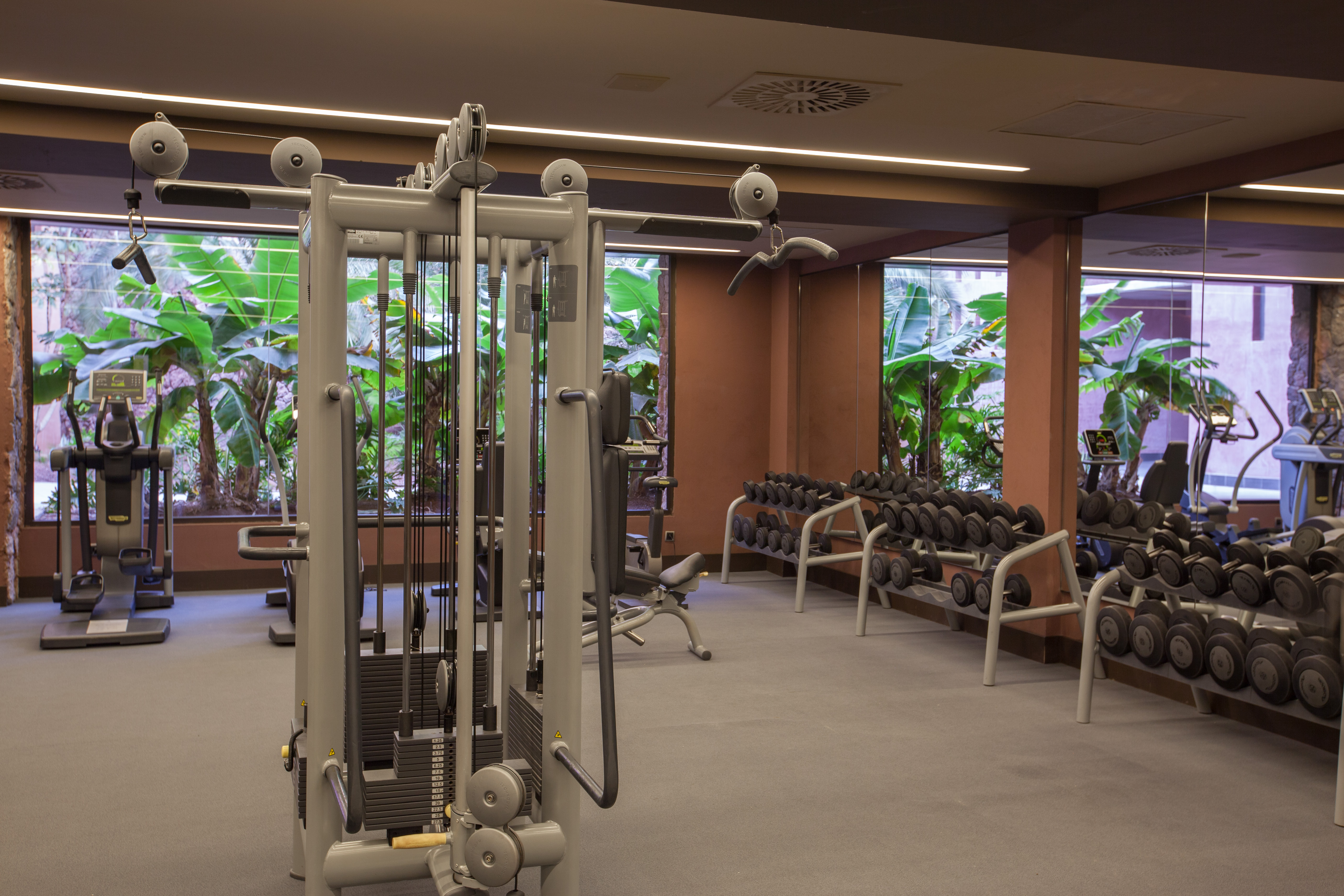 hotel baobab las palmas fotos gimnasio
