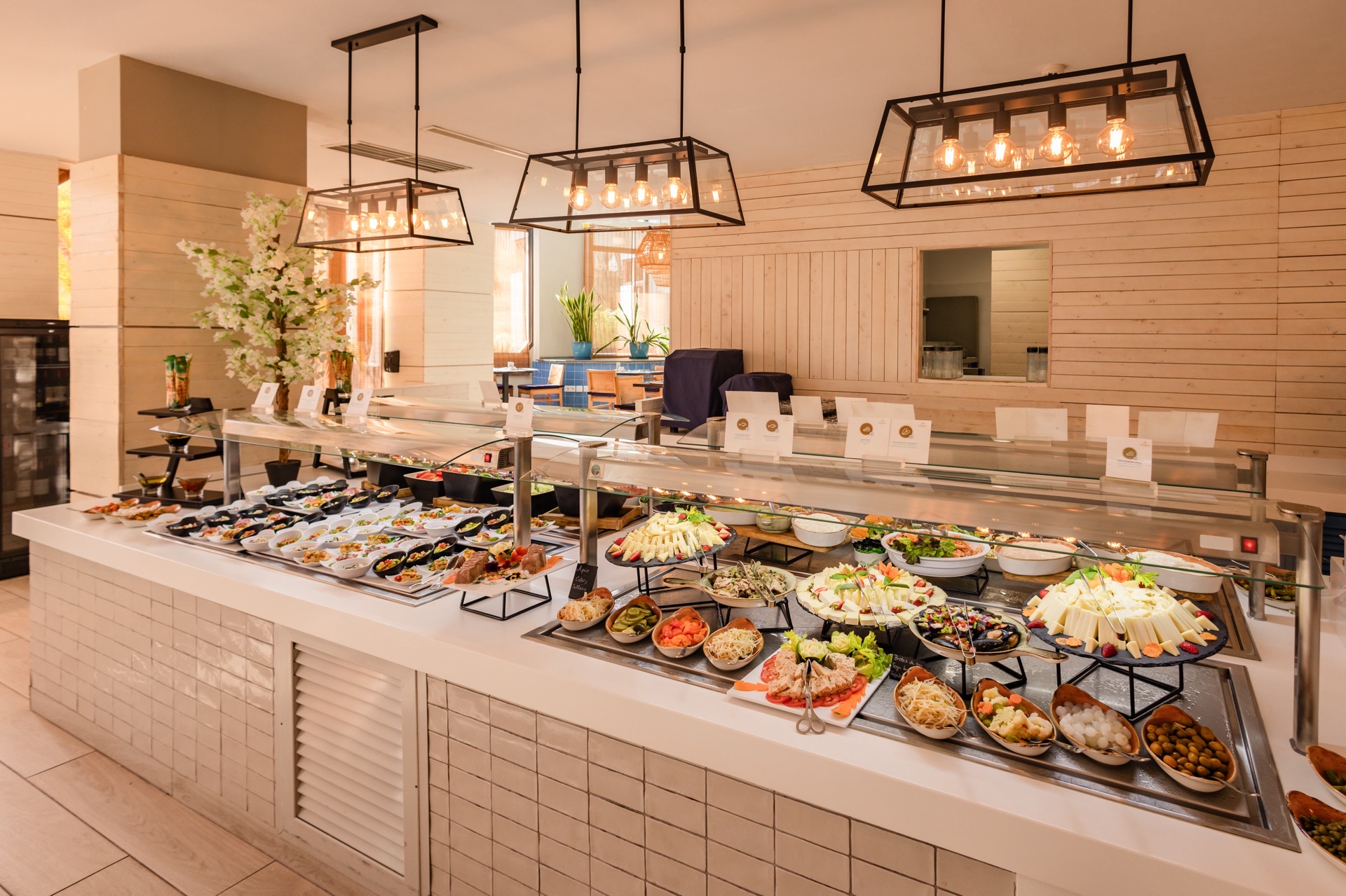 halbpension hotel corallium strand
