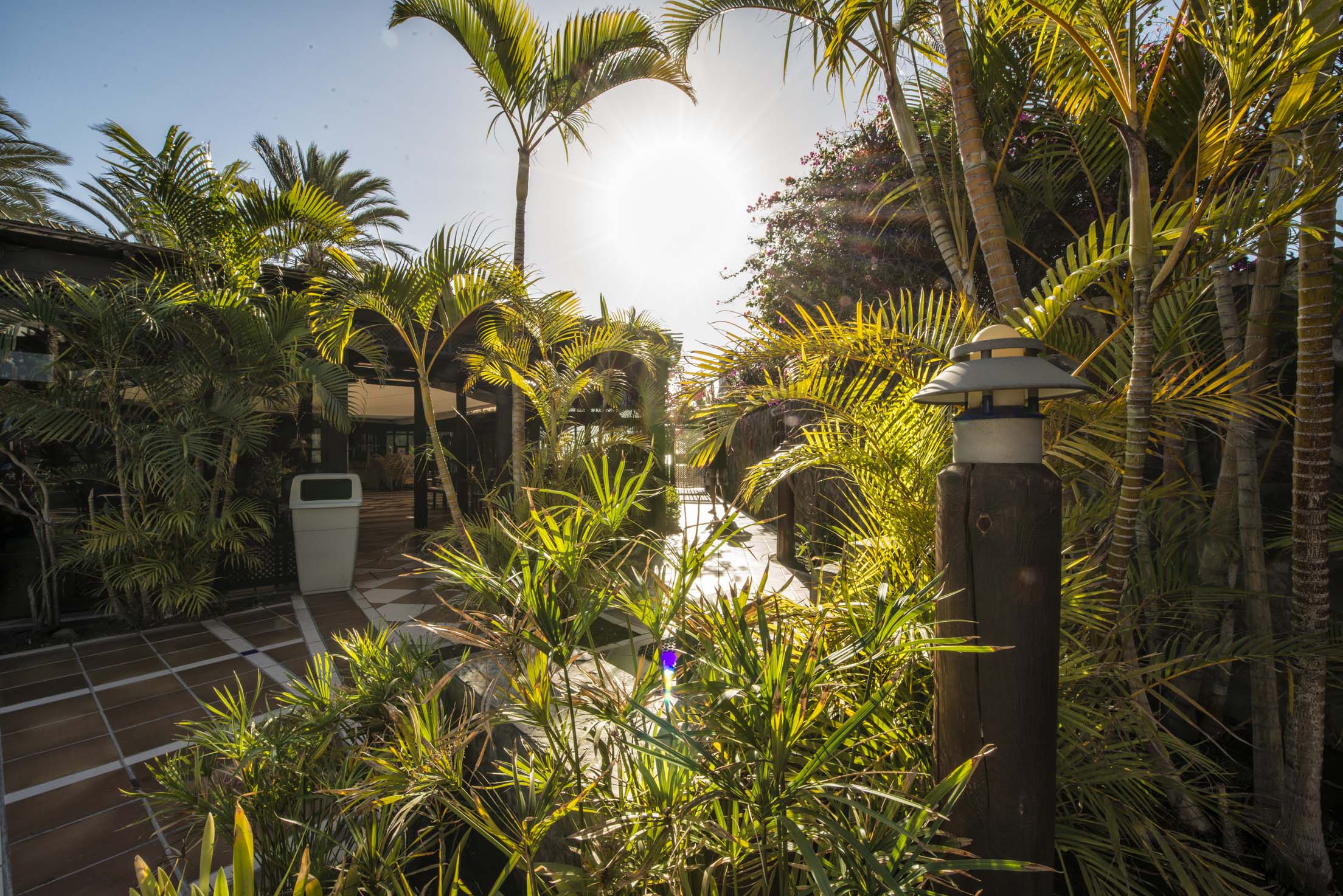 gartenbilder corallium beach by lopesan hotels