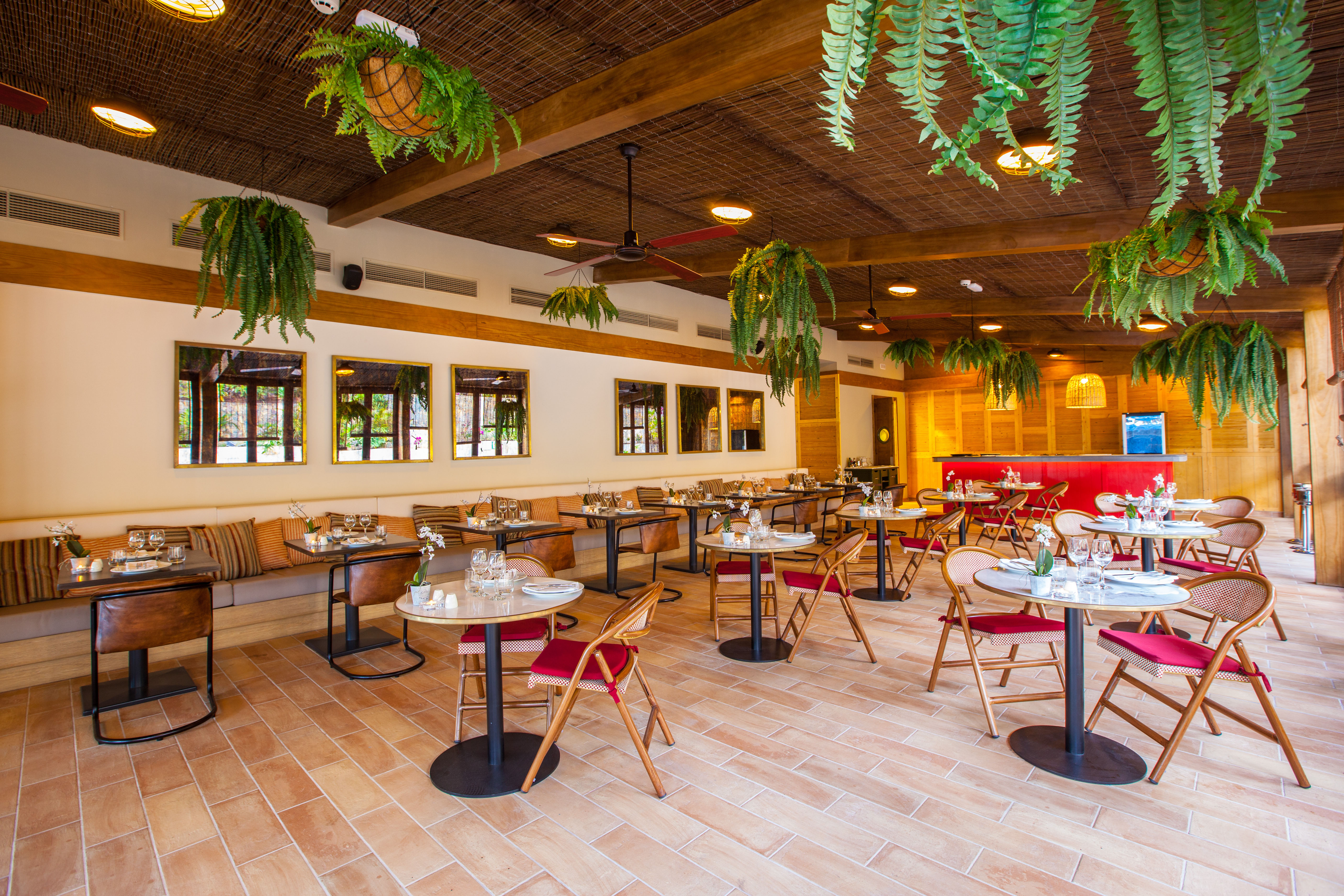 imágenes y fotos mediterraneum corallium dunamar by lopesan hotels