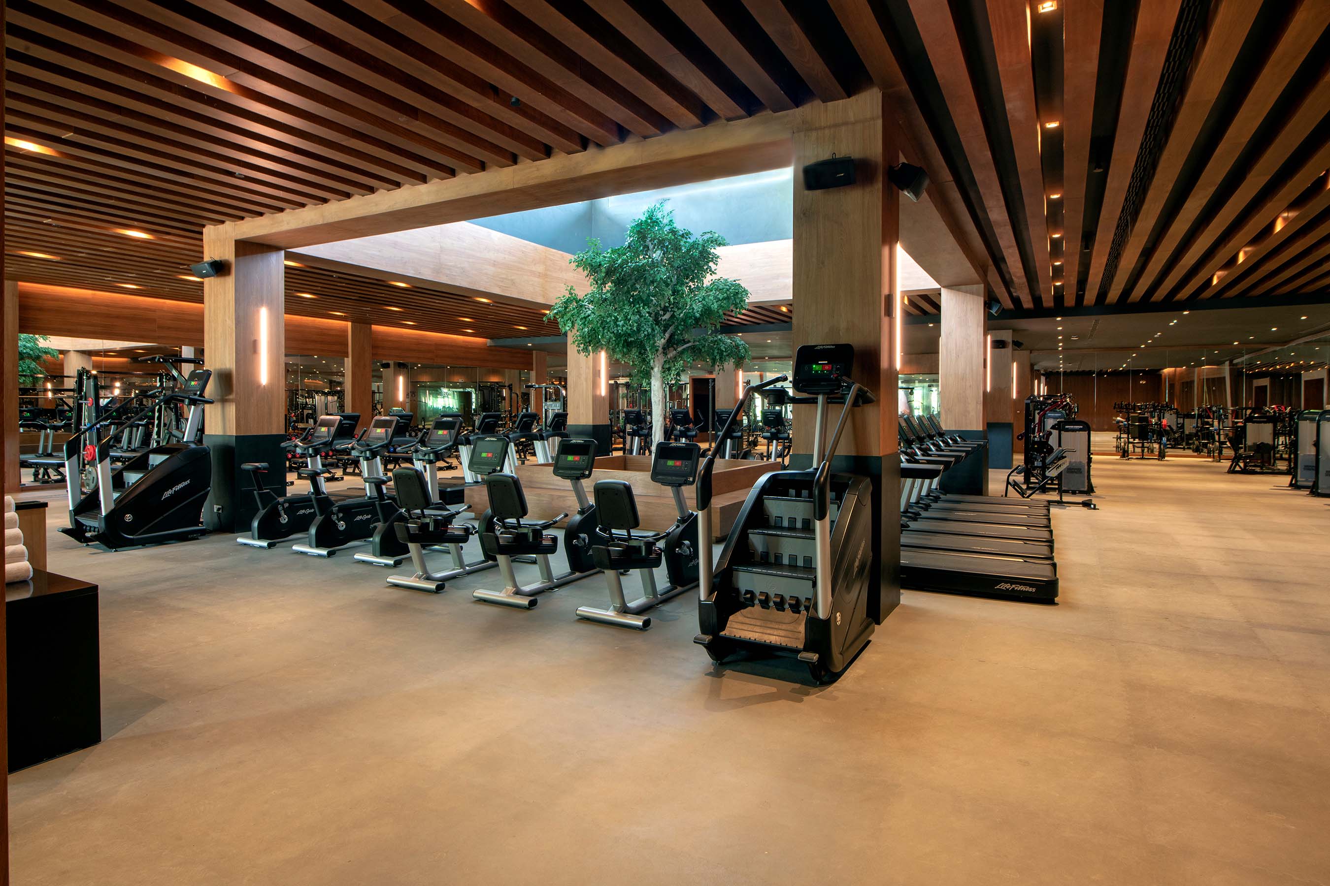 fitnessstudio spa & wellness lopesan costa bávaro resort
