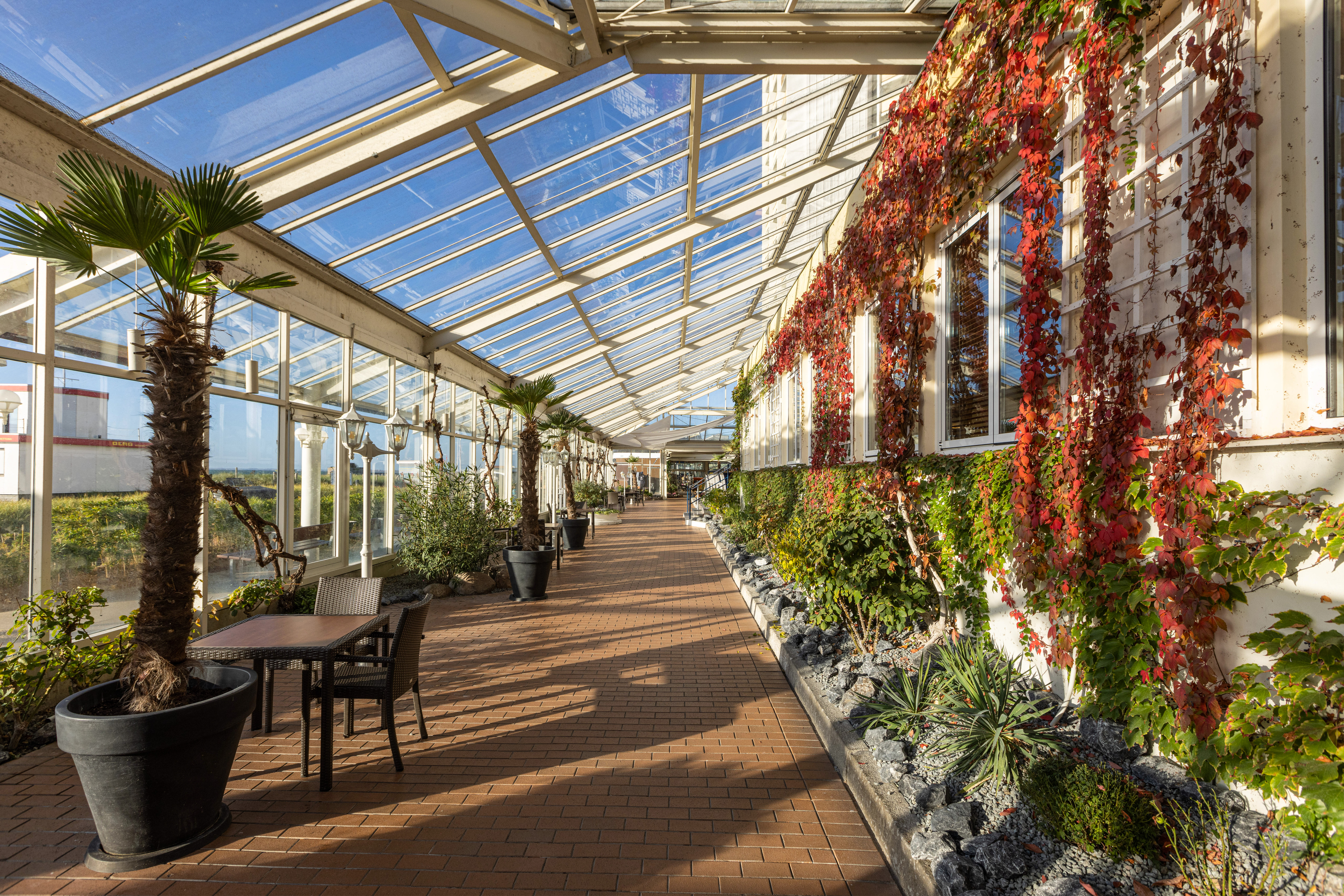 restaurante windrose imágenes y fotos ifa fehmarn hotel & ferien-centrum