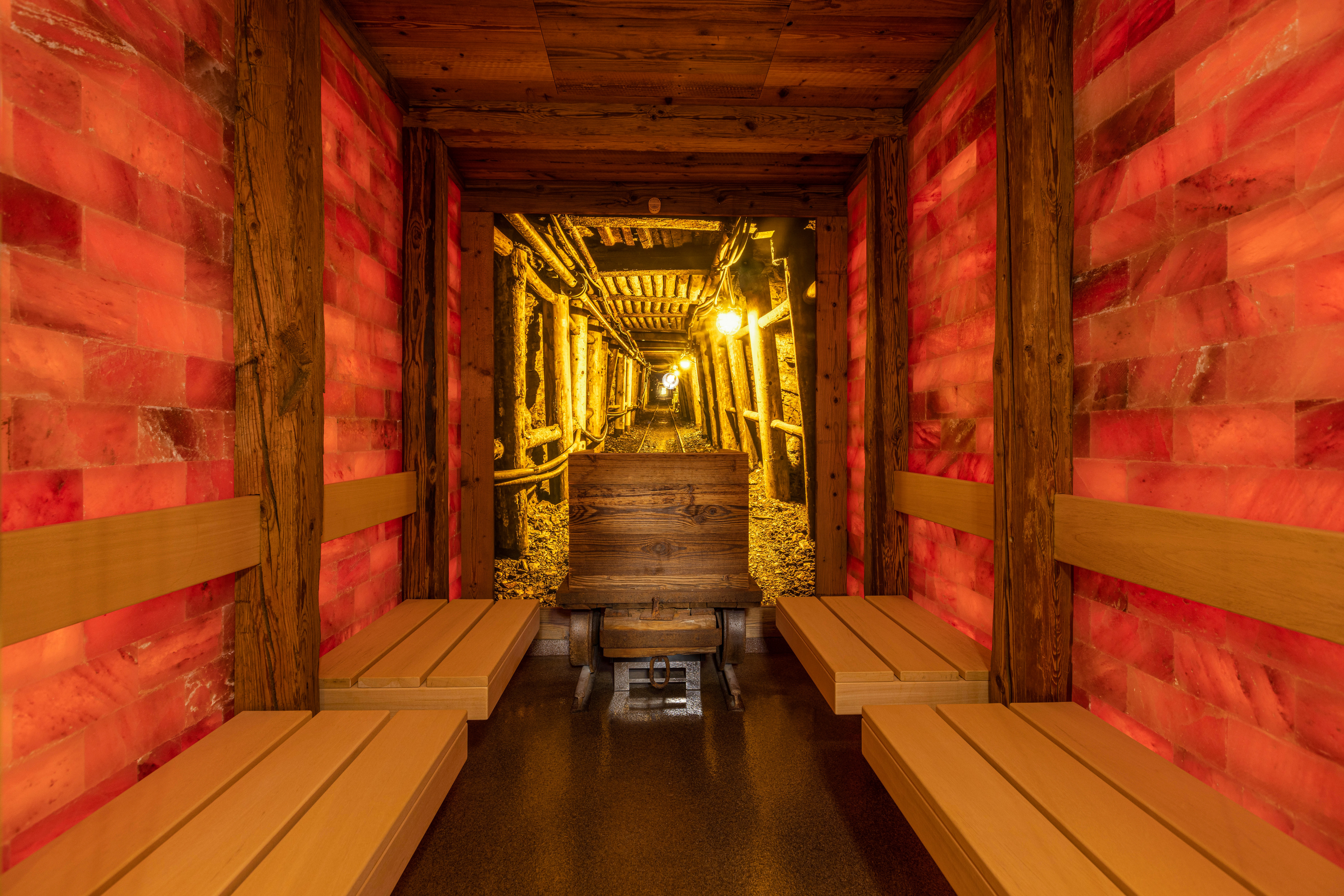 images and photos ifa alpenhof wildental hotel spa