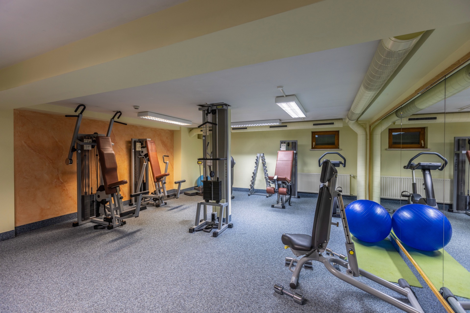 Fitnessstudio-Fotos im Hotel IFA Alpenrose