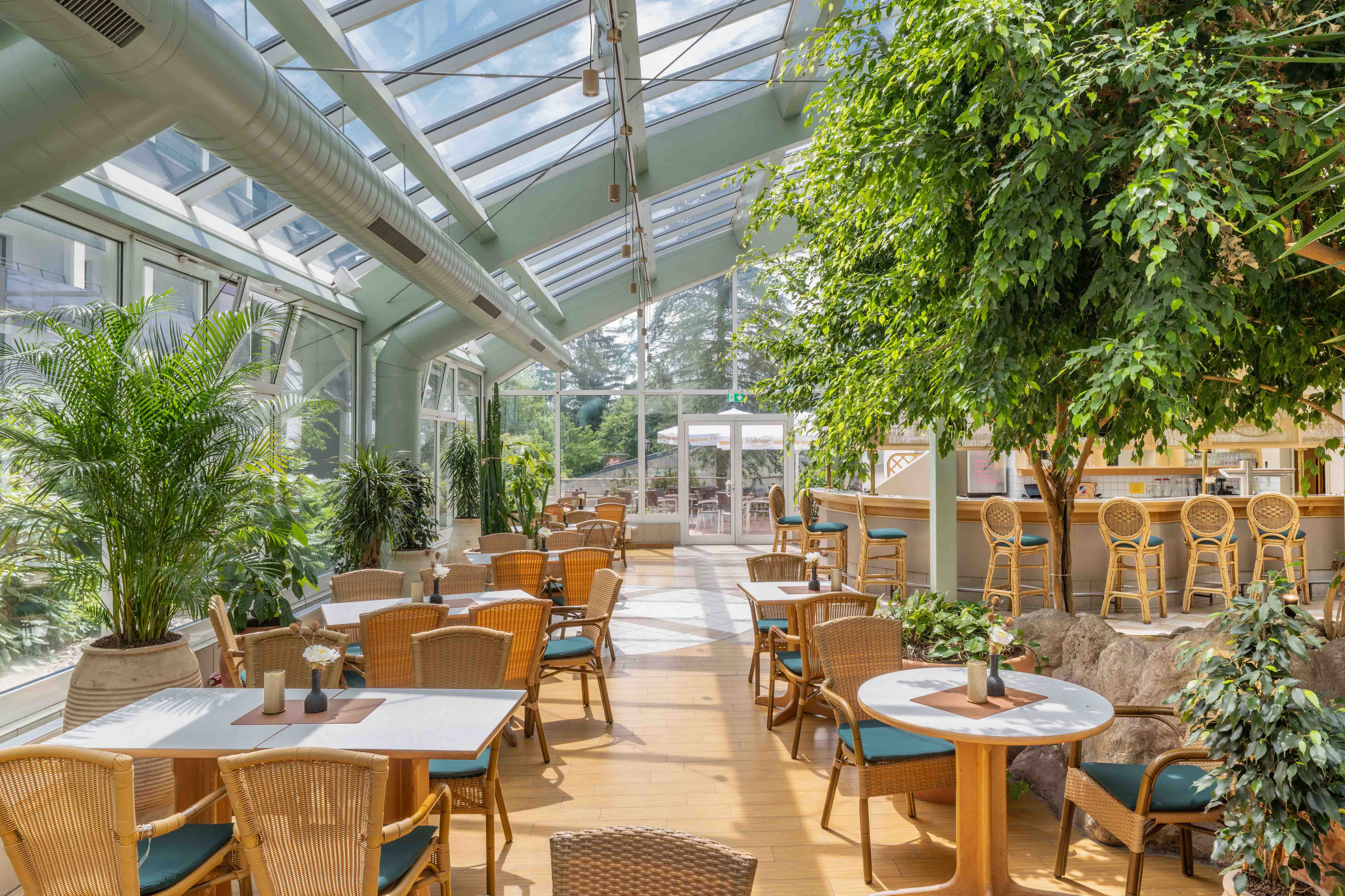 bars hotel ifa schoneck