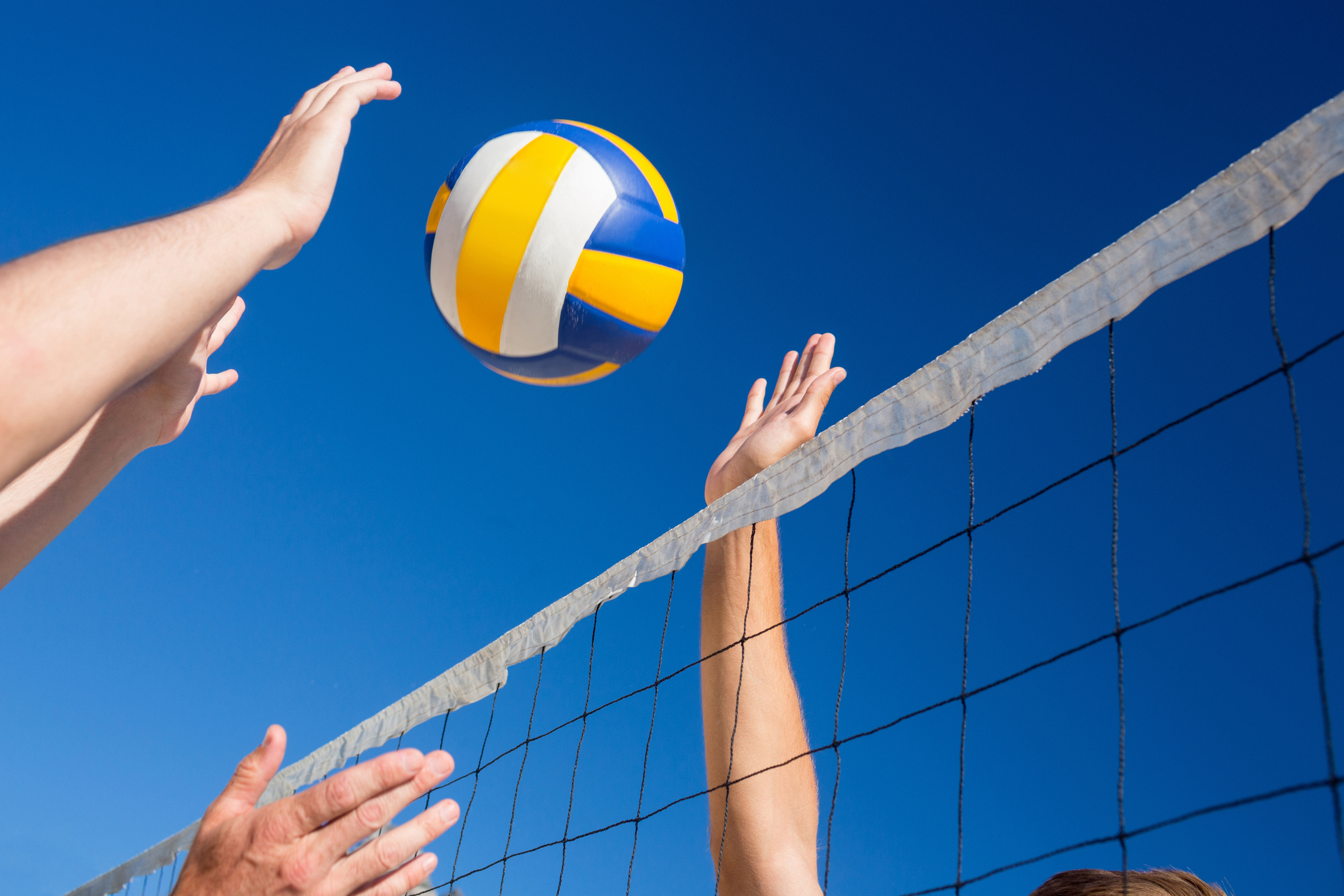 iStock-481671830.jpg