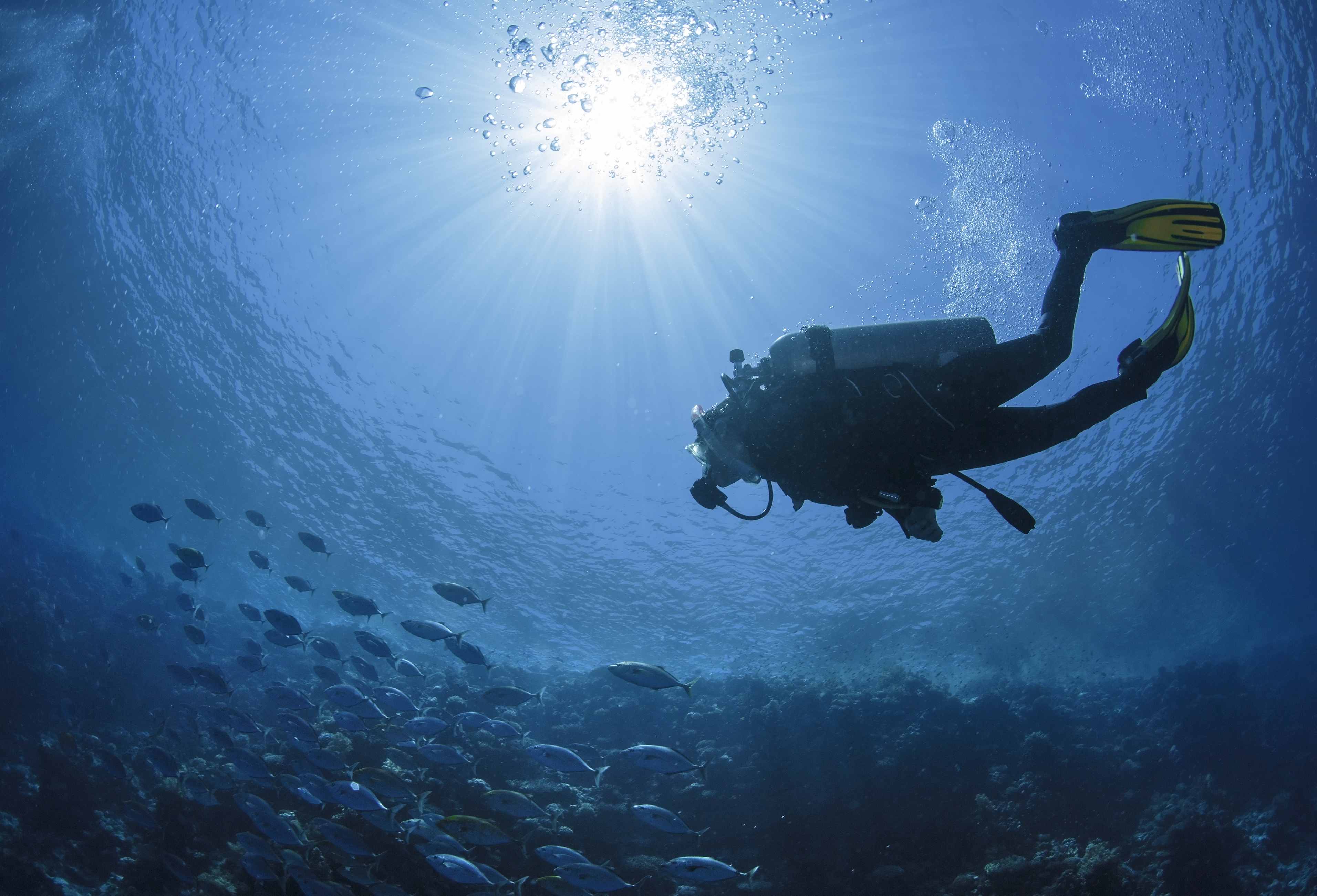 iStock-512617924.jpg
