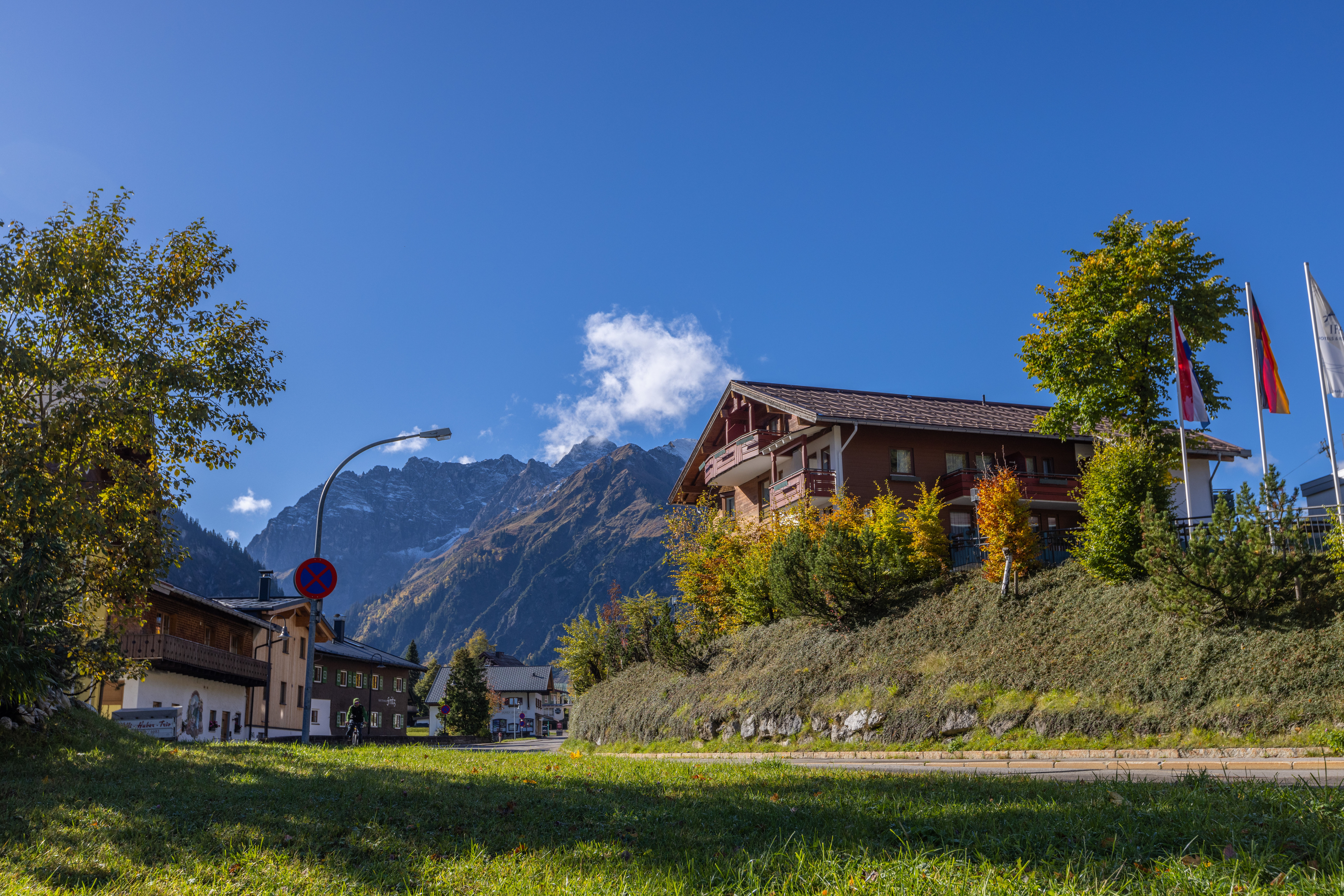 Servicios IFA Alpenrose Hotel