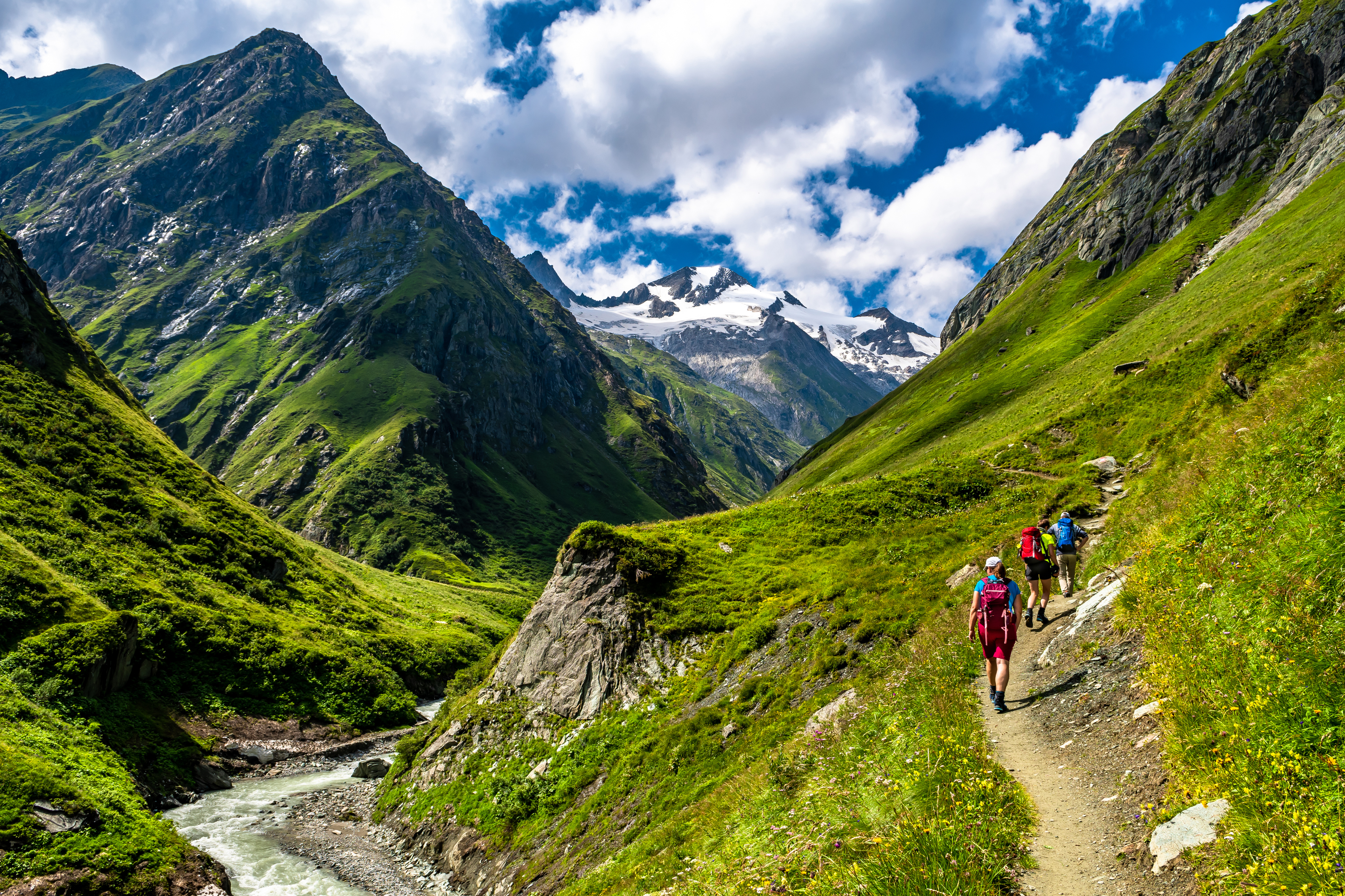 iStock-1358569473.jpg