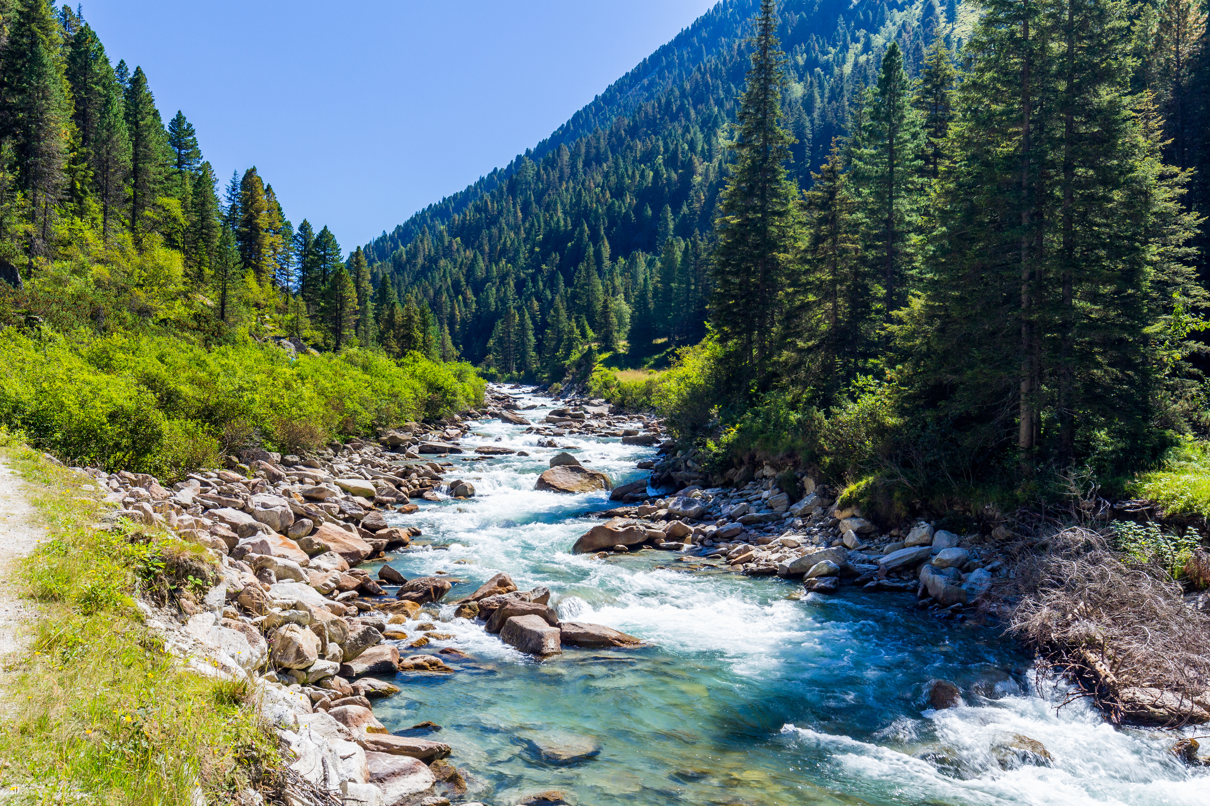 iStock-611622826.jpg