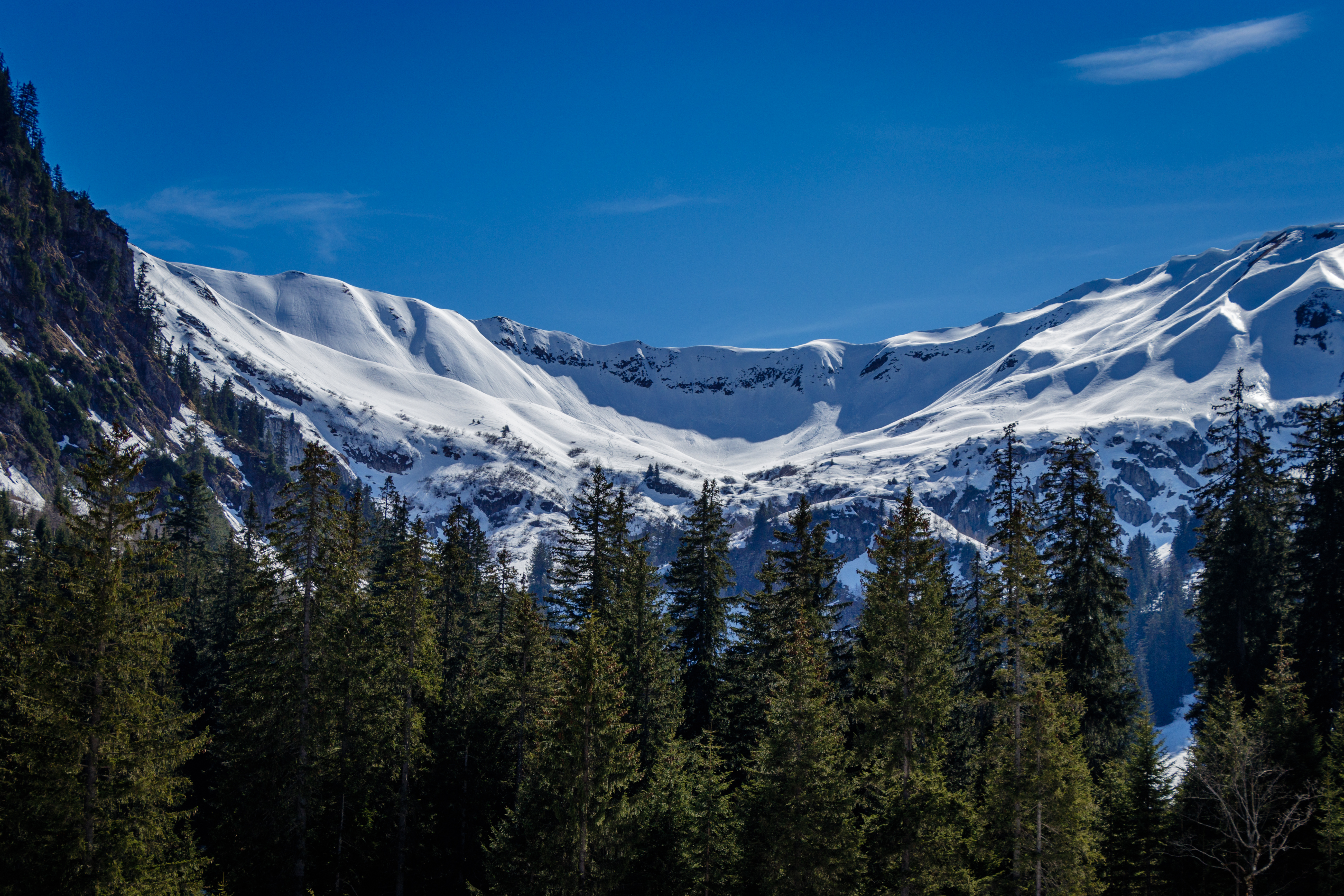 iStock-852819556.jpg