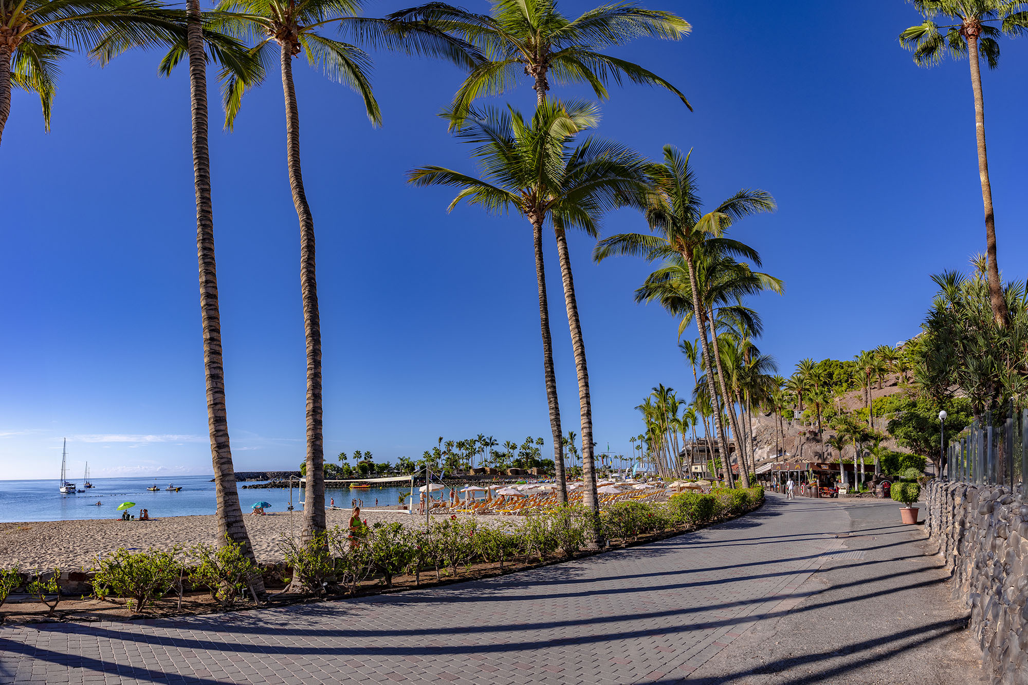 20231028 PASEO 0010-Pano