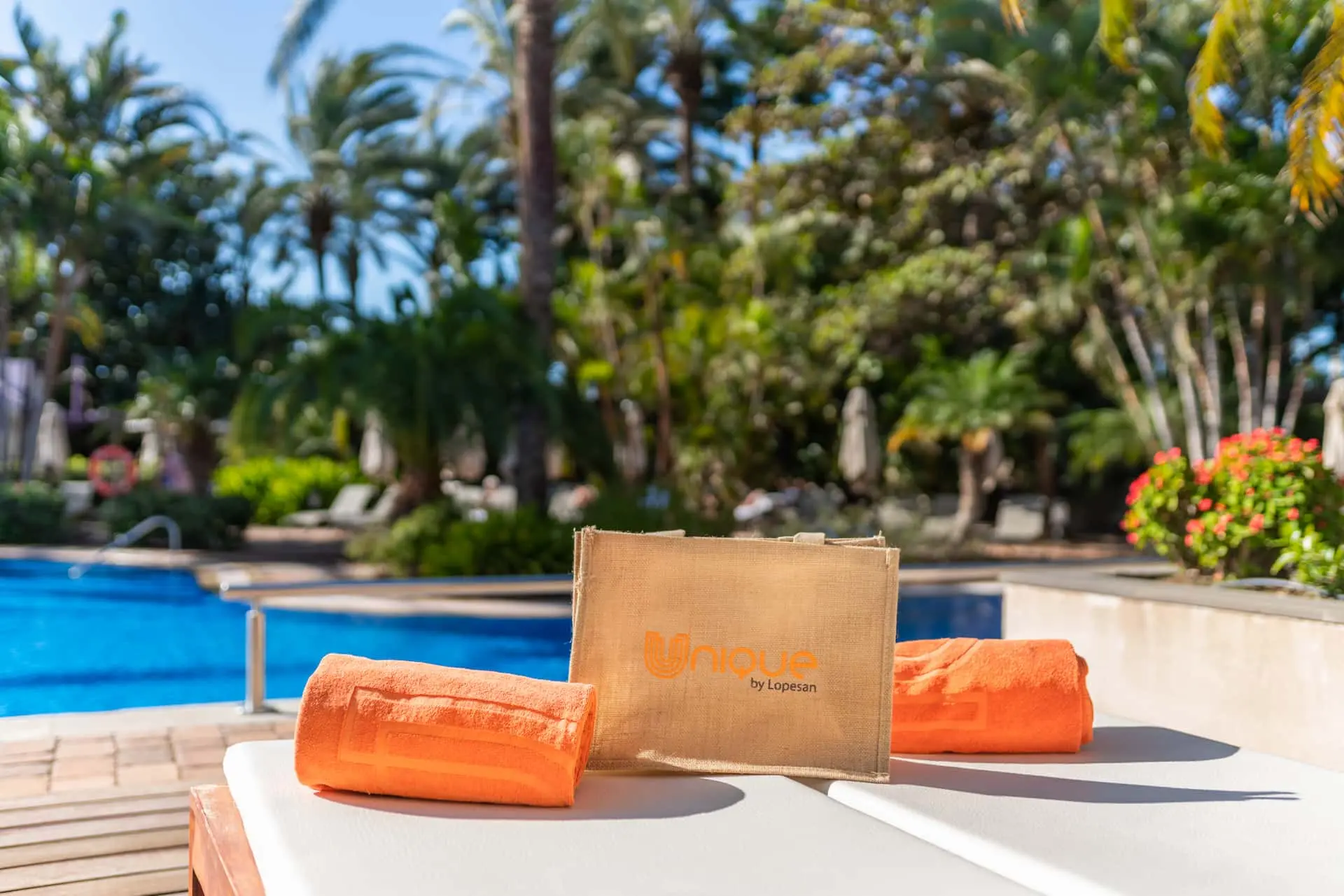 Áreas Unique en las piscinas - Corallium Seafront Adults Only
